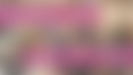 お買物はエンタメ