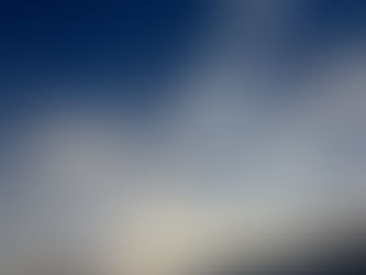 福ちゃん散歩で春を感じます