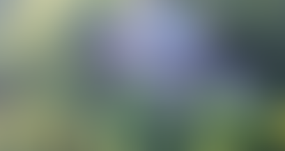 長南町の隠れた宿泊施設はこんなにも