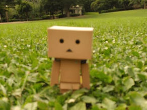 寛容度をあげる