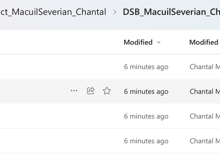 Mastery Reflection for Digital Storytelling & Branding