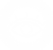 spine ICONS-04.png