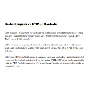 Krebs Döngüsü ve ETC'nin Kontrolü