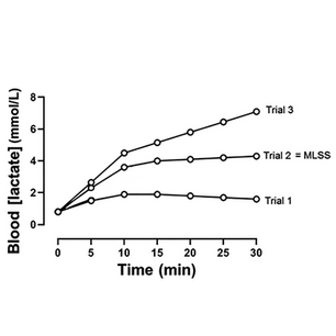Maximal Lactate Steady State (MLSS)