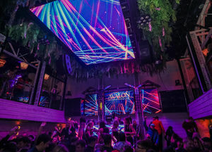 Avalon Social photo