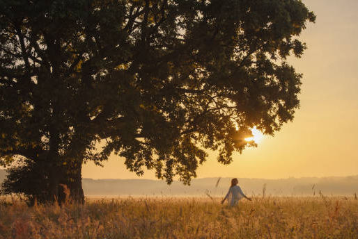 L’EQUILIBRE NATURELLEMENT : GUIDE DES THERAPIES NATURELLES ET ALTERNATIVES