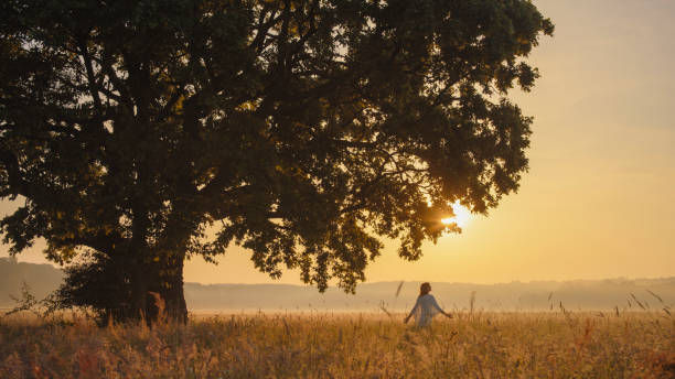 bel arbre au coucher du soleil avec une femme seule qui marche