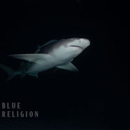 noční světlo_.jpg