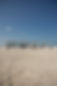 untitled-36.jpg
