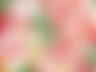 The Richest Source of Vitamin C: Acerola