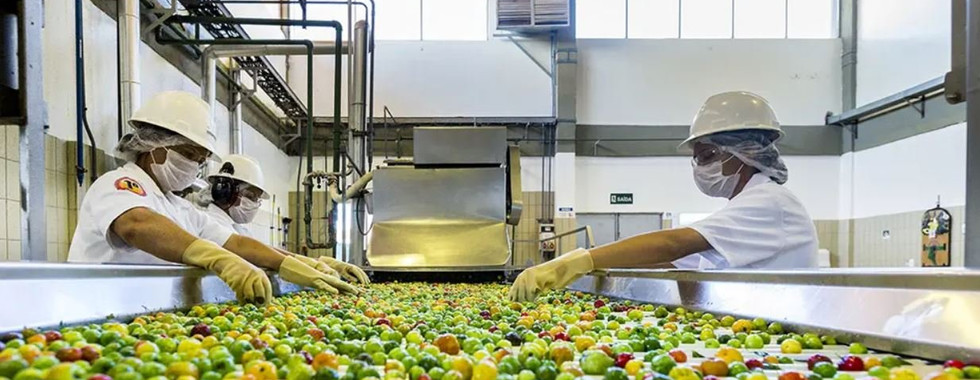 acerola processing facility