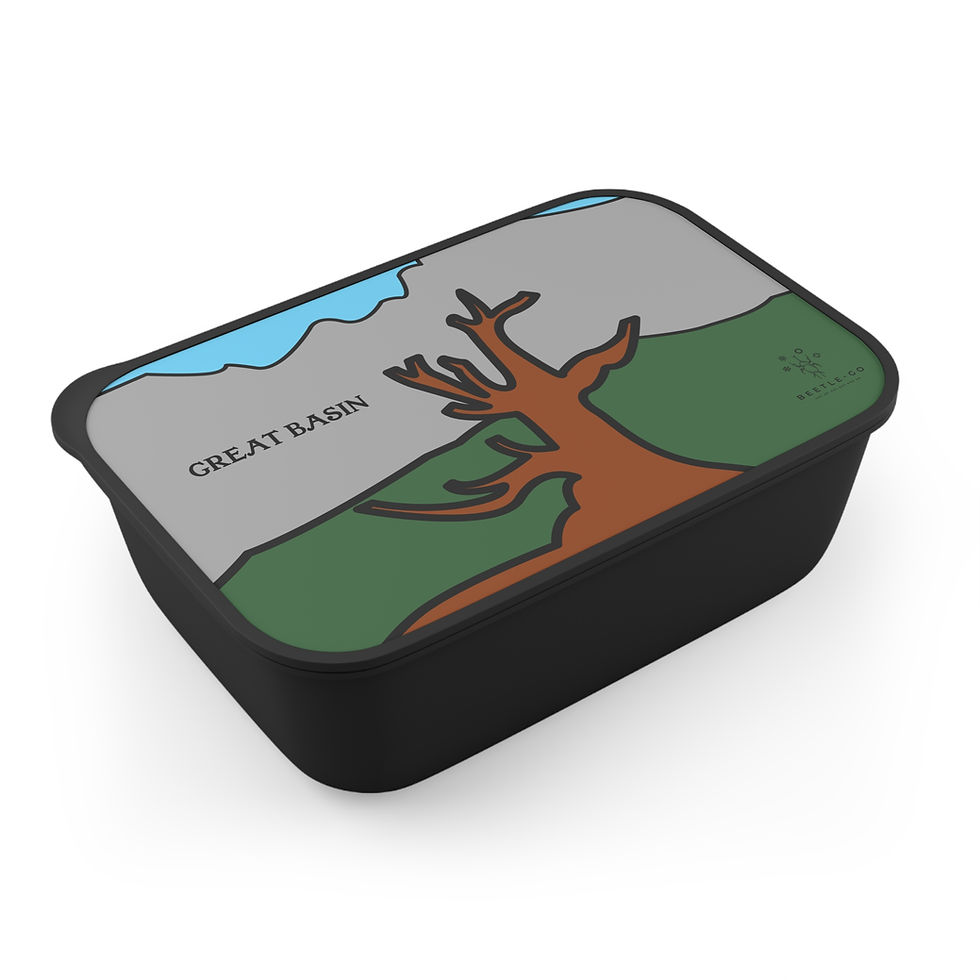 Thumbnail: Beetle-Go Great Basin National Park Stylish Bento Box