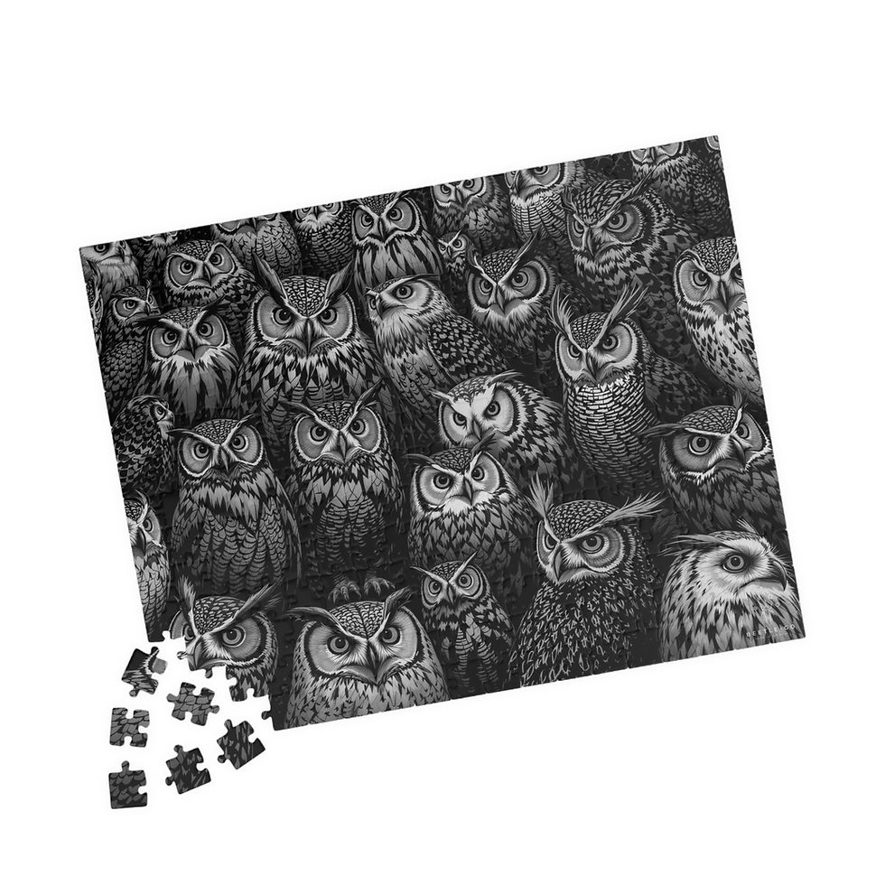 Thumbnail: Beetle-Go National Spaces - Hoo-h'HOO-hoo’s - Black & White