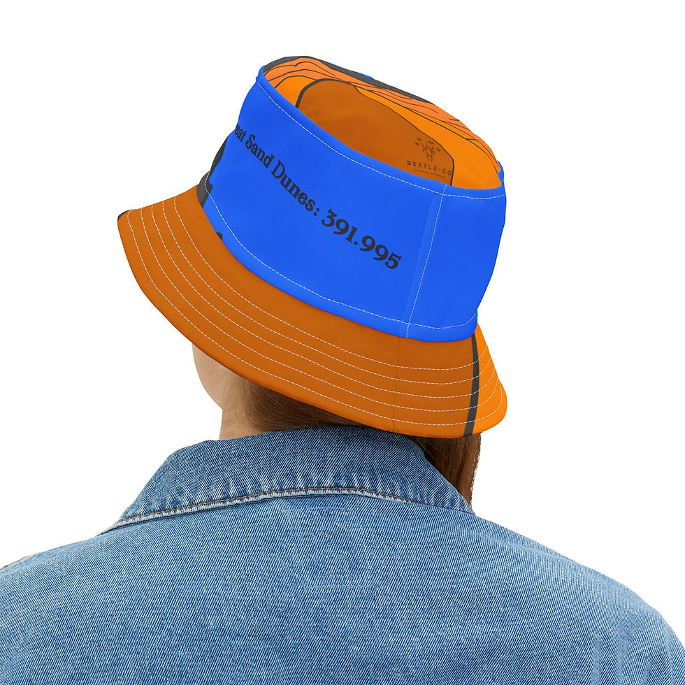 Thumbnail: Beetle-Go Great Sand Dunes National Park Bucket Hat