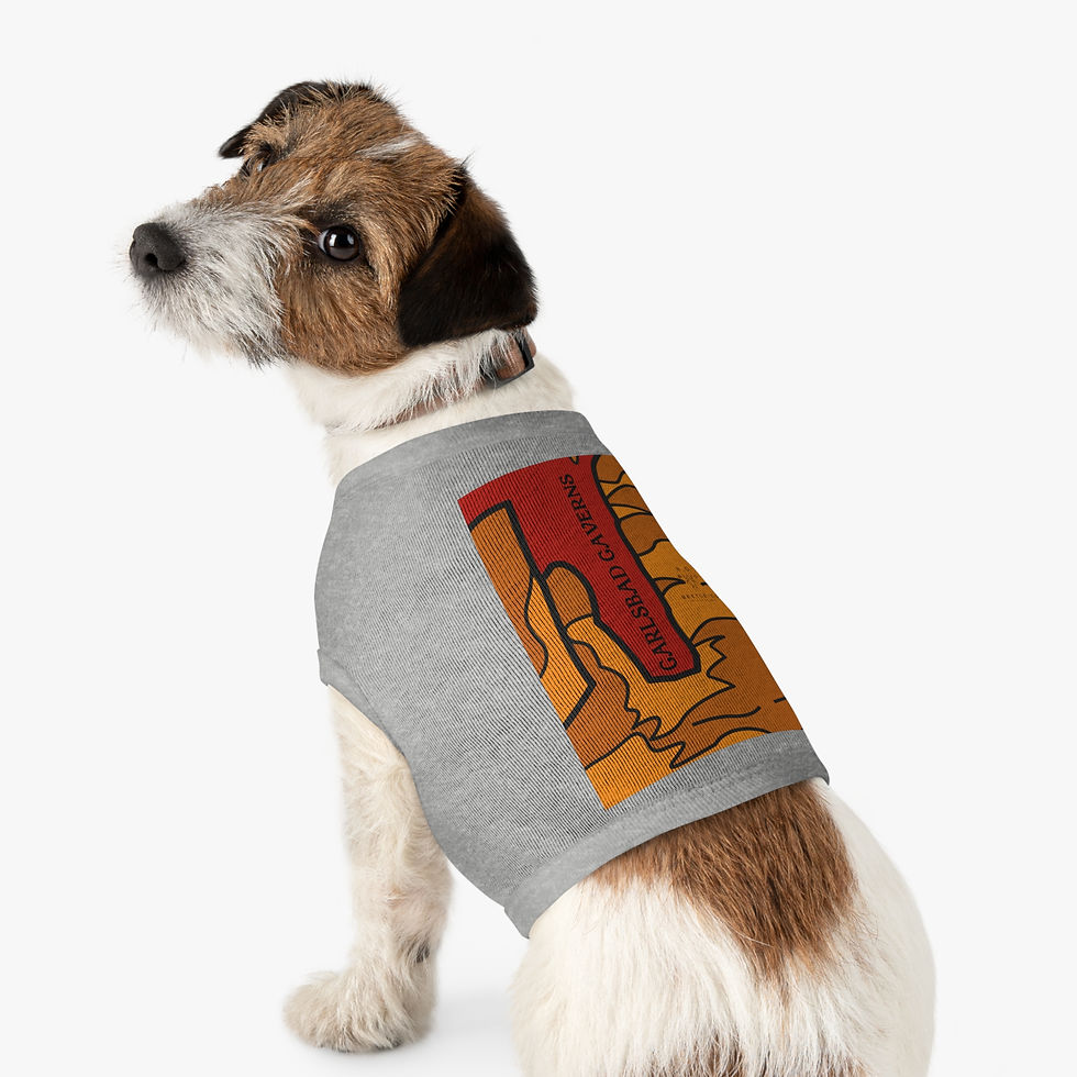 Thumbnail: Beetle-Go Carlsbad Caverns National Park Pet Tank Top
