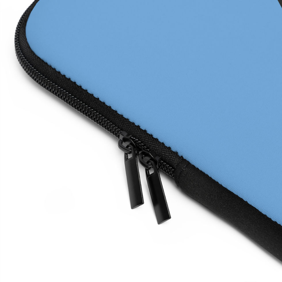 Thumbnail: Beetle-Go Gate of the Artic National Park Laptop Sleeve
