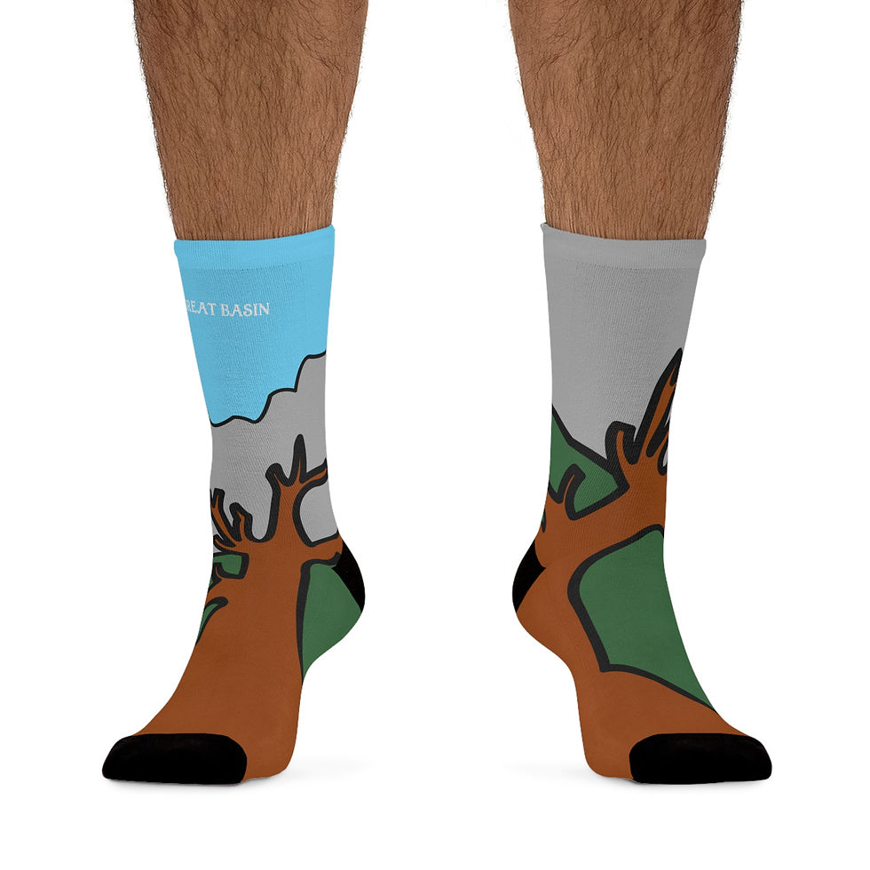 Beetle-Go Great Basin National Park Eco-Friendly Recycled Poly Fiber Socks