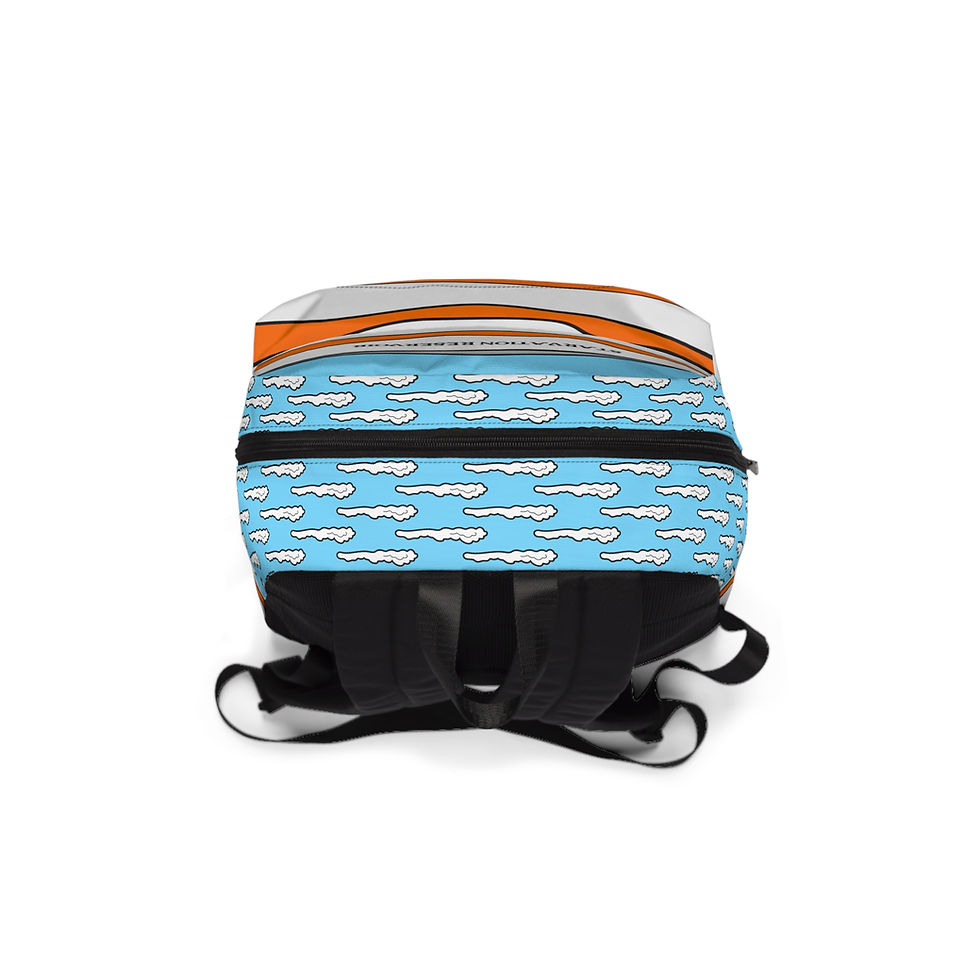 Thumbnail: Beetle-Go Starvation State Park Backpack