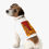 Thumbnail: Beetle-Go Carlsbad Caverns National Park Pet Tank Top