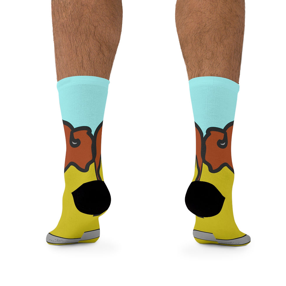 Thumbnail: Beetle-Go Antelope Island Eco-Friendly Recycled Poly Fiber Socks