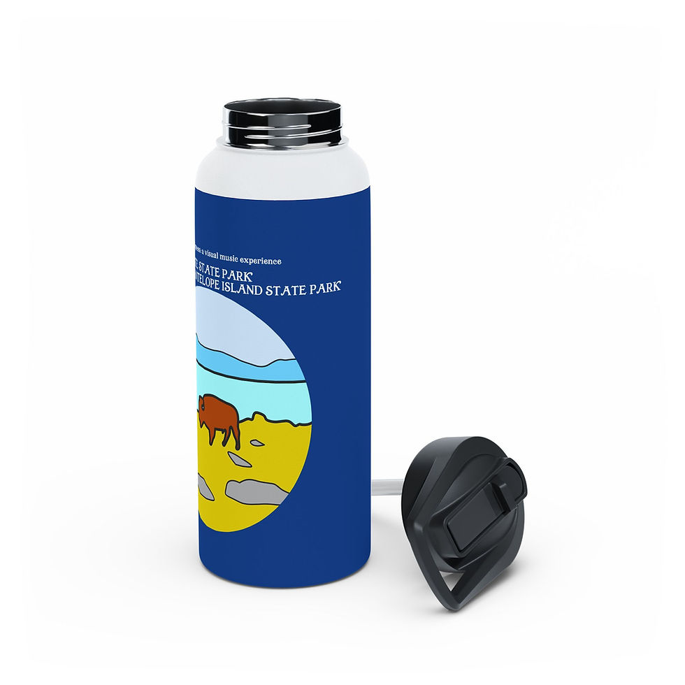 Thumbnail: Beetle-Go Antelope Island Stainless Steel Adventure Water Bottle
