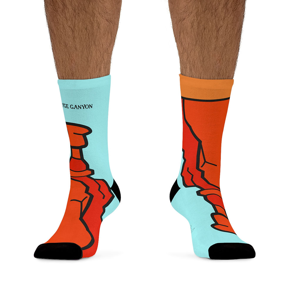Thumbnail: Beetle-Go Bryce Canyon National Park Eco-Friendly Recycled Poly Fiber Socks