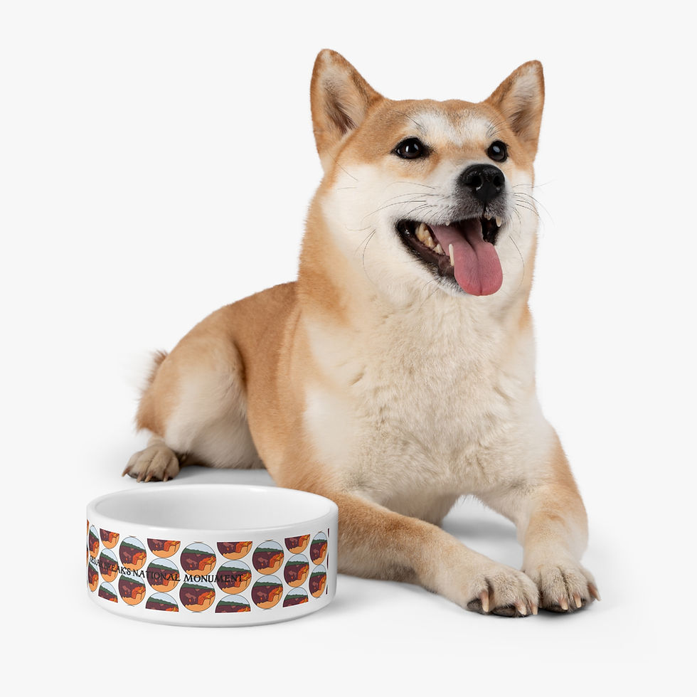 Thumbnail: Beetle-Go Cedar Breaks National Monument Pet Bowl 