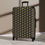Thumbnail: Annie Pookah Floral Luggage
