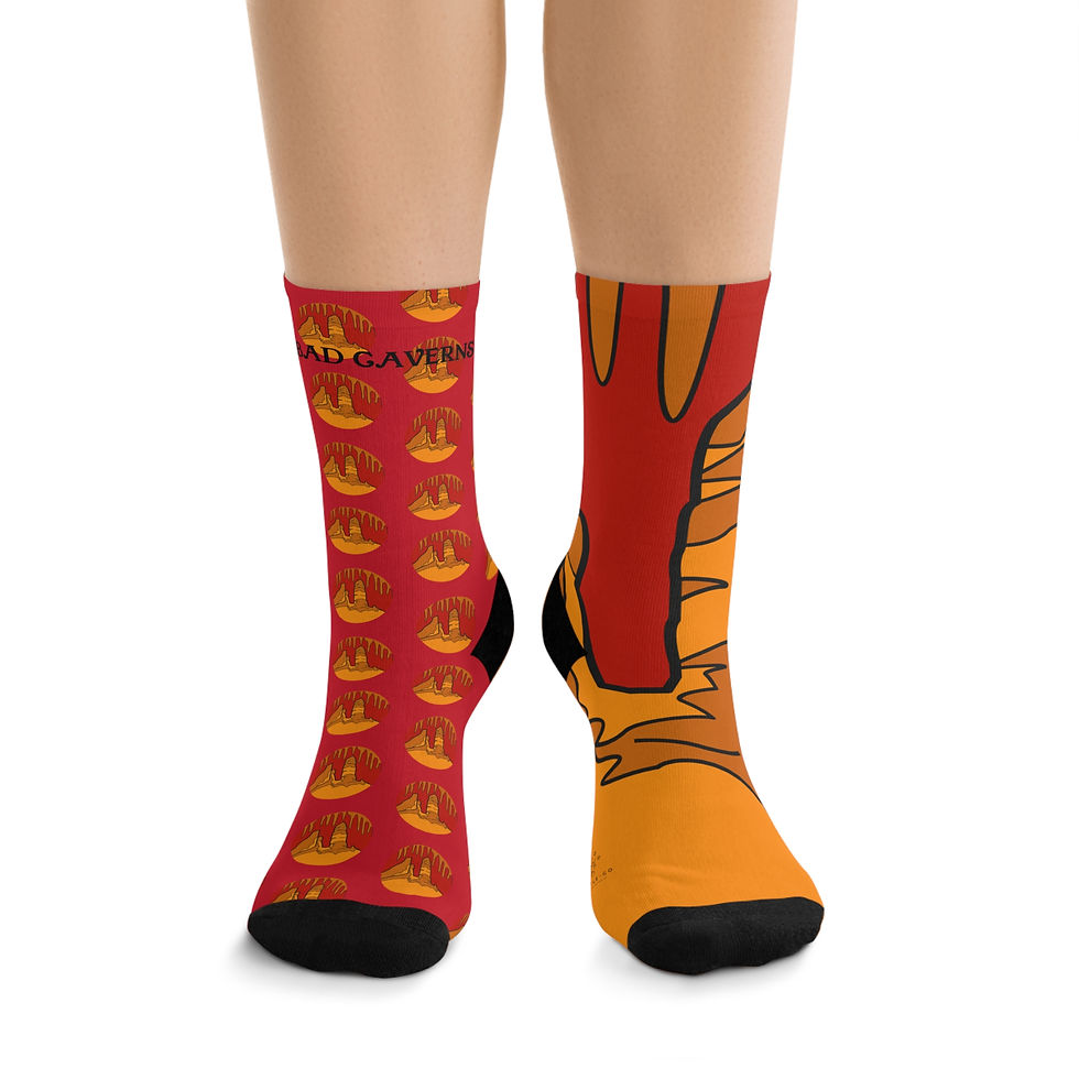 Beetle-Go Carlsbad Caverns National Park Eco-Friendly Recycled Poly Fiber Socks