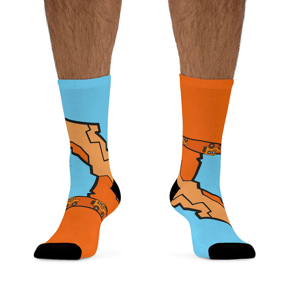 Thumbnail: Beetle-Go Arches National Park Eco-Friendly Recycled Poly Fiber Socks