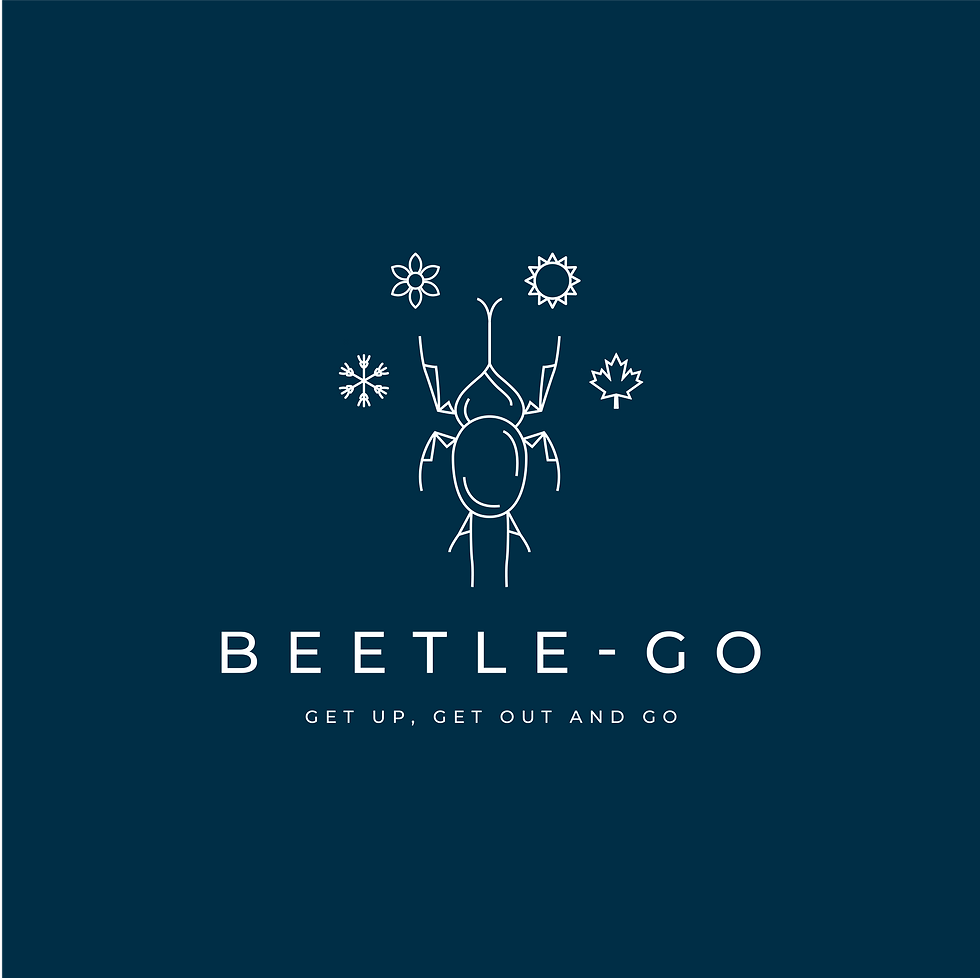 BEETLE-GO: GET UP, GET OUT, AND GO