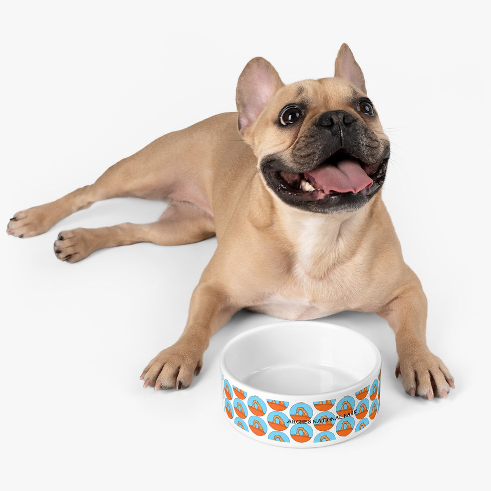 Thumbnail: Beetle-Go Arches National Park Pet Bowl 
