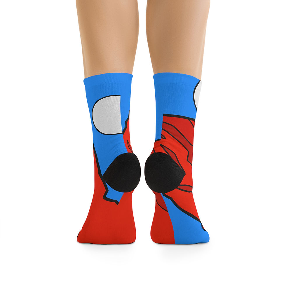 Thumbnail: Beetle-Go Capitol Reef National Park Eco-Friendly Recycled Poly Fiber Socks