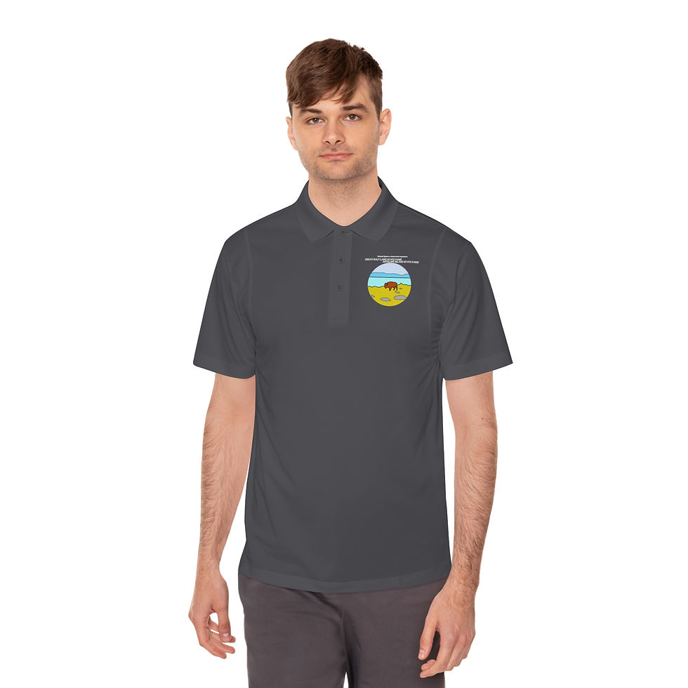 Thumbnail: Beetle-Go National Spaces: a visual music experience Great Salt Lake polo shirt