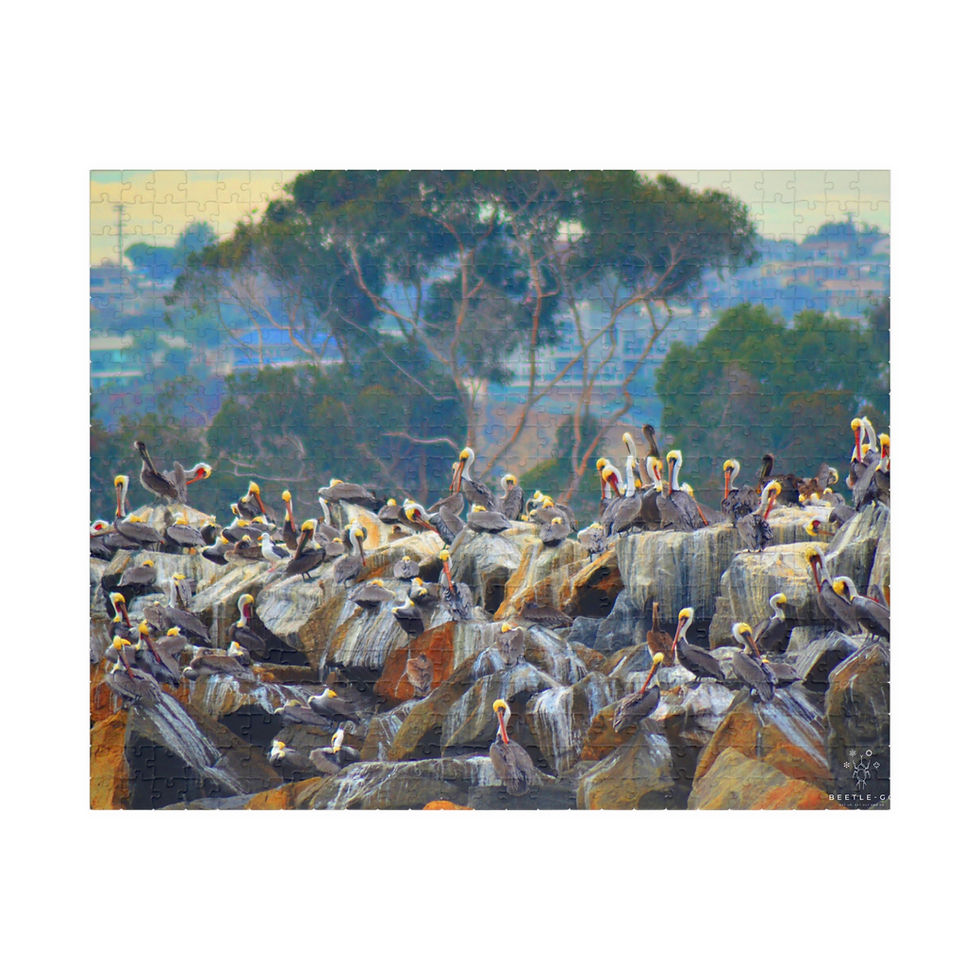 Thumbnail: Beetle-Go National Spaces - Dana Point Pelicans Puzzle by Michelle Kelly