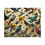 Thumbnail: Beetle-Go National Spaces - All Birds