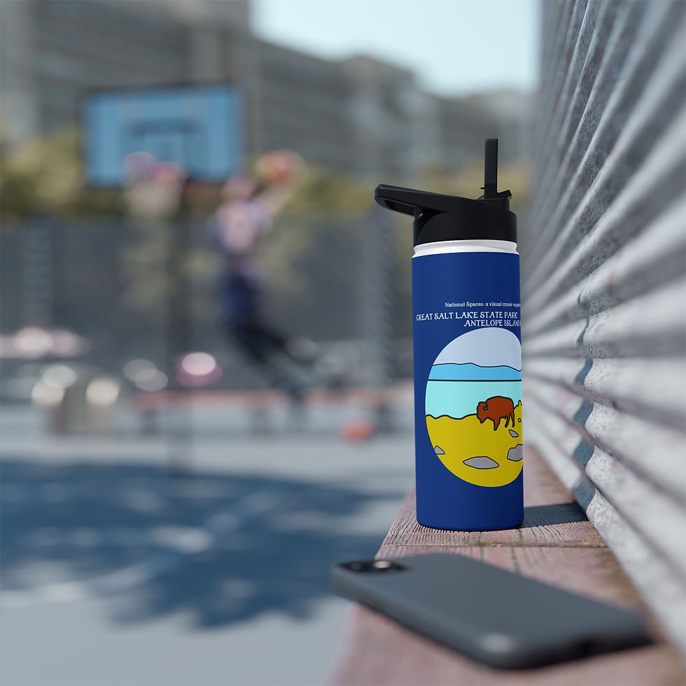 Thumbnail: Beetle-Go Antelope Island Stainless Steel Adventure Water Bottle