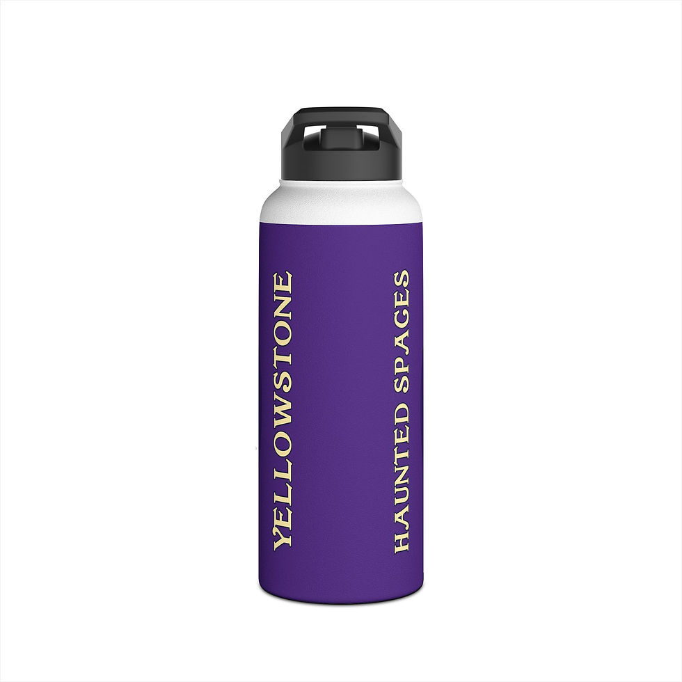 Thumbnail: Beetle-Go Haunted Spaces Yellowstone National Park Stainless Steel Tumbler