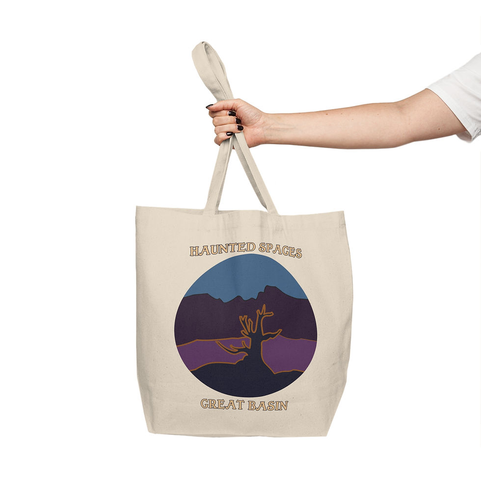Thumbnail: Beetle-Go Haunted Spaces Great Basin National Park trick-or-treat bag