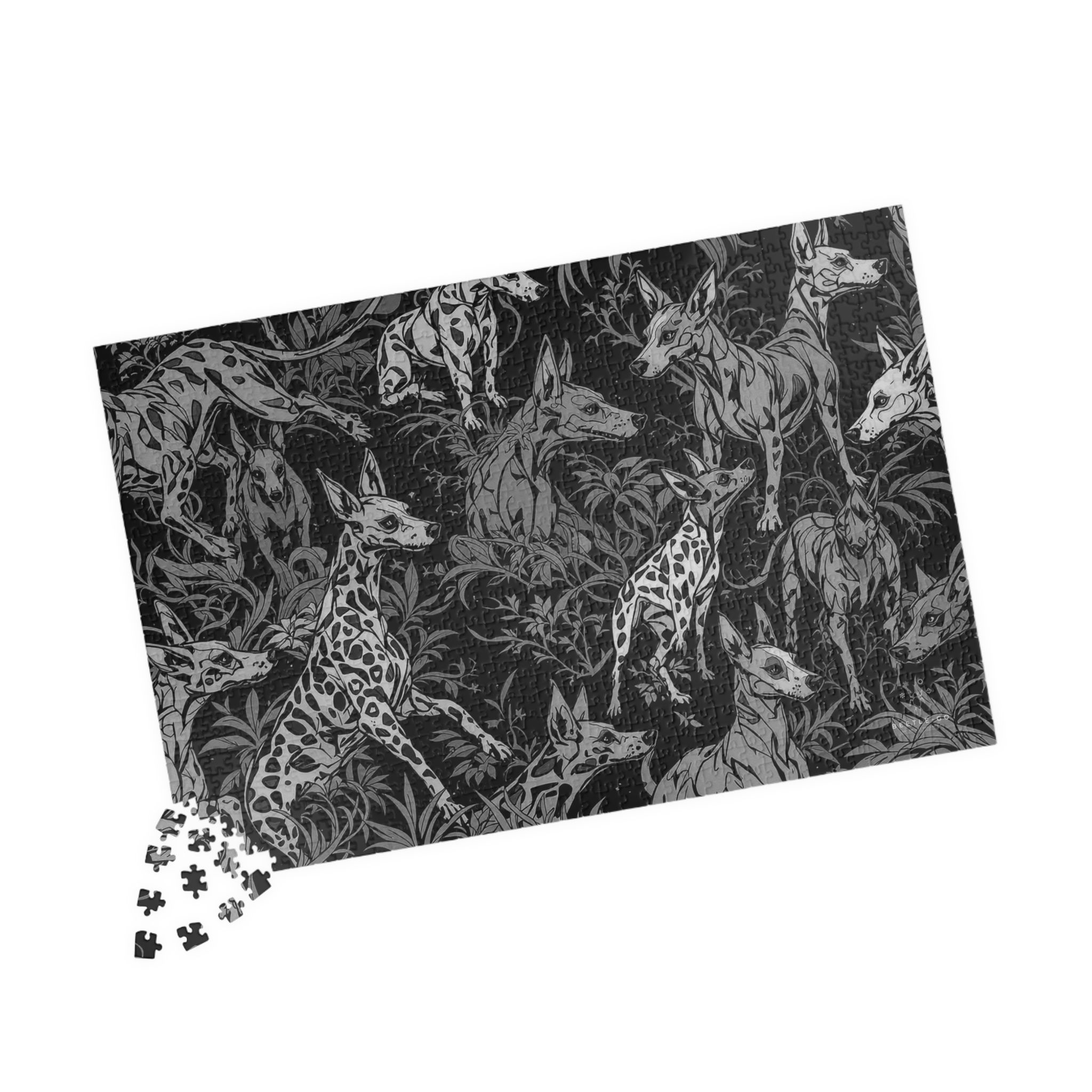 Beetle-Go National Spaces - American Hairless Terriers - Black & White