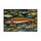 Thumbnail: Beetle-Go National Spaces - Trout
