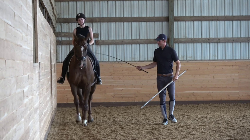 In hand dressage trainer, Joseph Newcomb, works with a student.