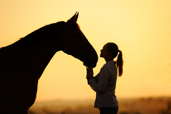 What Happens To Our Horses When We Disappear?