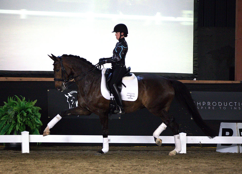 Dressage Trainer Alyssa Pitts on Selestial R