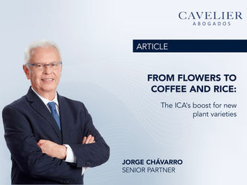 From flowers to coffee and rice: The ICA's boost for new plant varieties