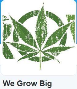 We Grow Big