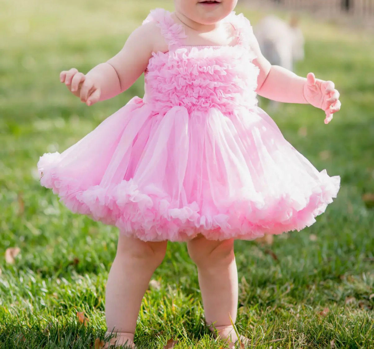Girls Pink Tulle Princess Petti Dress