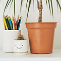 Smiley_1200x627_edited.jpg