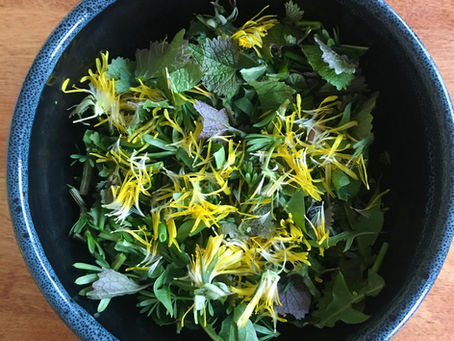 Backyard Salad