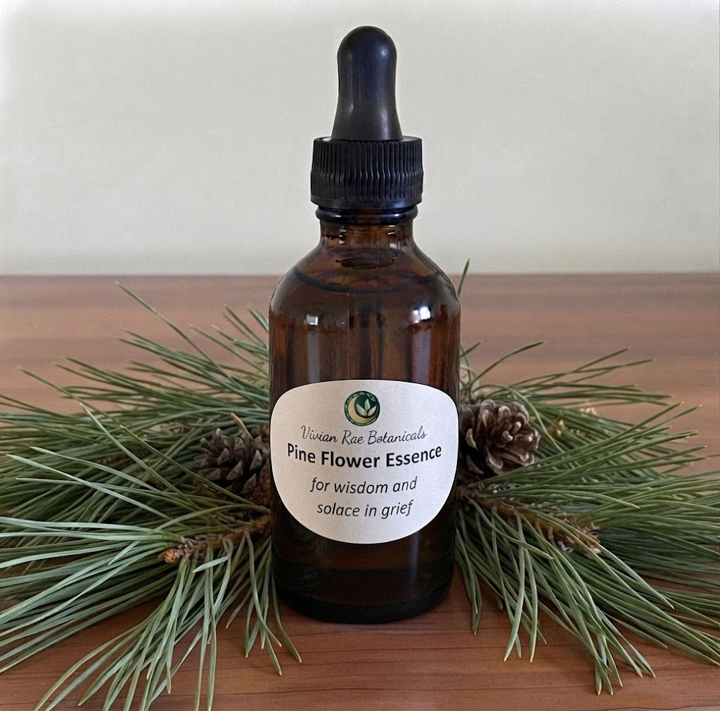 Pine Flower Essence